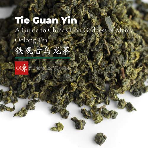 鉄観音：中国の鉄観音烏龍茶ガイド – Orientaleaf