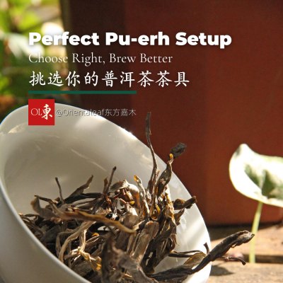 プーアル茶に最適な茶器を選ぶための究極ガイド – Orientaleaf