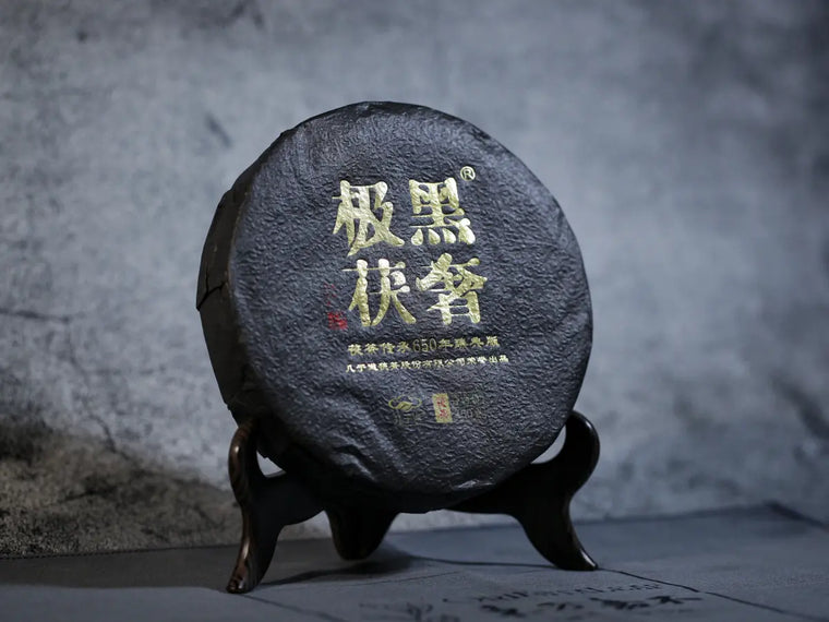 Top view of the unwrapped Jingyang Golden Flower Dark Tea Cake (Heicha)