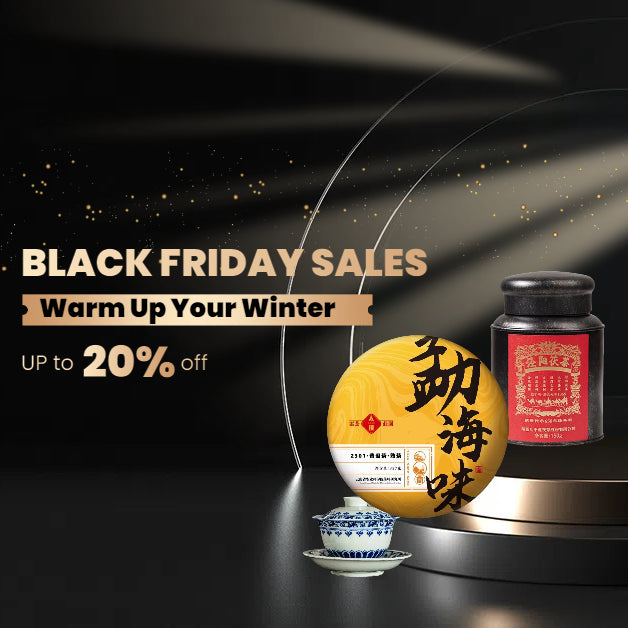 Black Friday Sale: Warm Up with Exclusive Discounts!