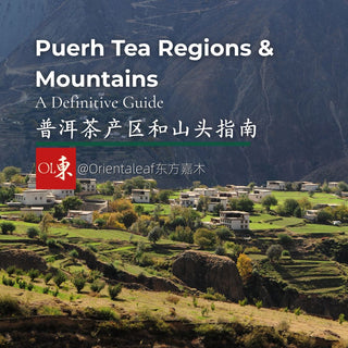 Guide to Pu-erh Tea Regions: Exploring Yunnan's Tea Mountains