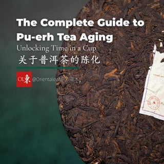 Unlocking Time in a Cup: The Complete Guide to Pu-erh Tea Aging
