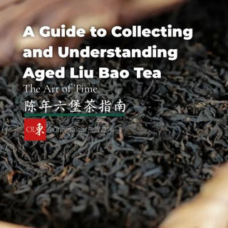 A close-up view of dark, fermented loose-leaf Aged Liu Bao tea leaves. The image includes text overlay reading "A Guide to Collecting and Understanding Aged Liu Bao Tea: The Art of Time" with Chinese characters "陈年六堡茶指南" and the Oriental Leaf brand logo.