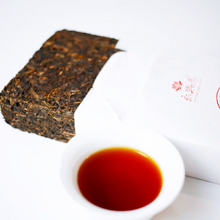  Taste of Fuzhuan Tea