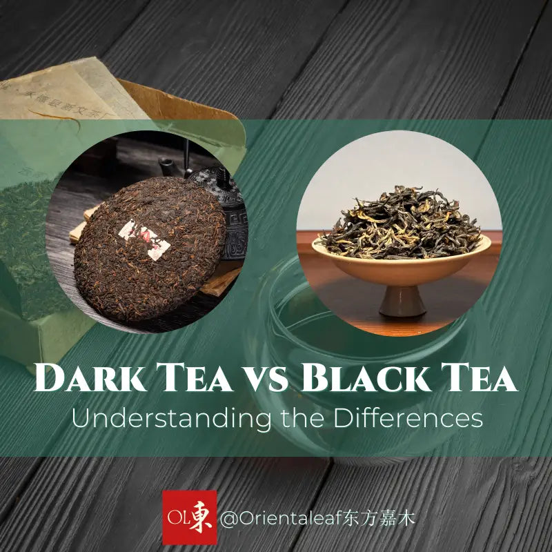 Dark Tea vs Black Tea: Understanding the Differences