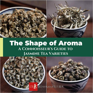 The Shape of Aroma: A Connoisseur's Guide to Jasmine Tea Varieties