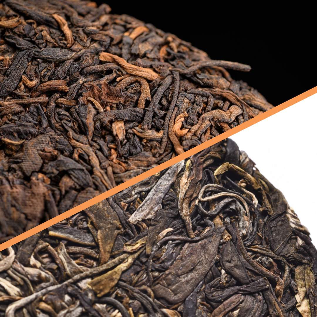 Raw and Ripe Pu-erh Tea Explained: A Simple Guide – Orientaleaf