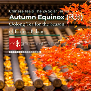 Autumn Equinox (秋分): Oolong Tea for the Season of Perfect Balance