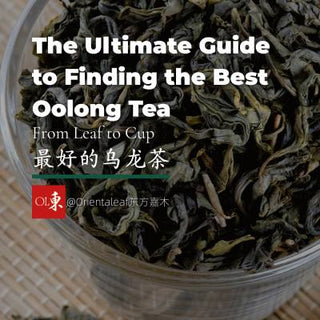 The Ultimate Guide to Finding the Best Oolong Tea: From Leaf to Cup