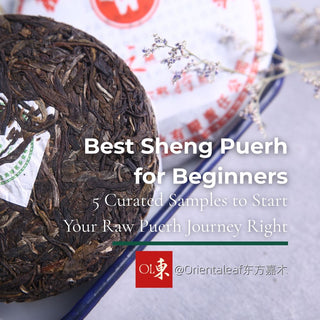 A compressed cake of raw Sheng Puerh tea with a paper wrapper, featuring text that reads 'Best Sheng Puerh for Beginners: 5 Curated Samples to Start Your Raw Puerh Journey Right'.