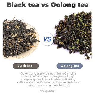 Black Tea VS Oolong Tea (2)