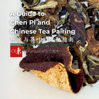 Close-up of aged Chen Pi (dried tangerine peel) paired with loose-leaf Chinese tea, featured in Orientalleaf's pairing guide.
