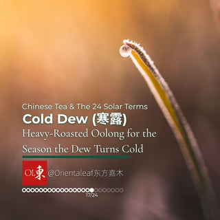 Cold Dew (寒露): Heavy-Roasted Oolong for the Season the Dew Turns Cold