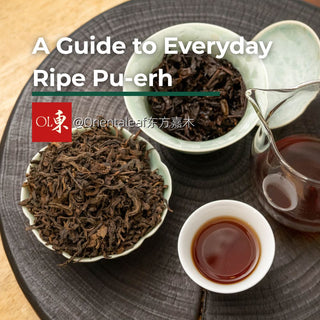 A guide to everyday ripe Pu-erh tea by Orientaleaf, featuring dry Pu-erh leaves in a dish, brewed tea in a glass pitcher, and a cup of dark tea liquor on a dark round tea tray.