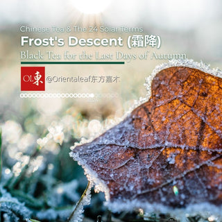 Frost's Descent (霜降): Black Tea for the Last Days of Autumn