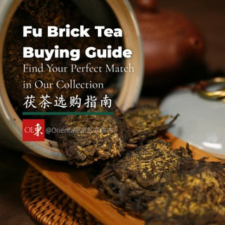 Your Practical Fu Brick Tea Buying Guide: Find Your Perfect Match in Our Collection