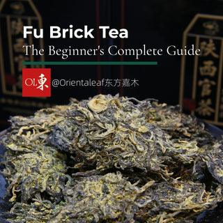 Fu Brick Tea leaves on a black plate with Golden Flowers (Eurotium cristatum), featured in a beginner's guide by Orientalef