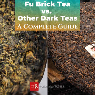 Fu Brick Tea vs. Other Dark Teas