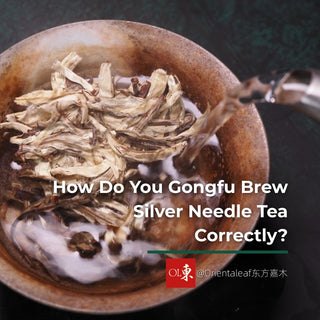 Hot water being poured over dry Silver Needle white tea leaves in a traditional brewing bowl, illustrating how to gongfu brew white tea correctly.