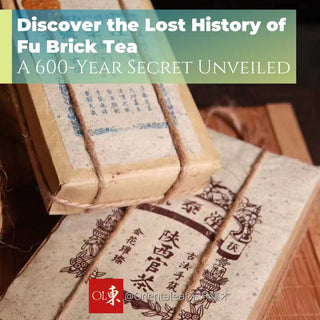 History of Fu Brick Tea