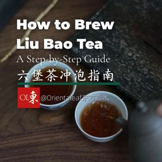 Traditional Gongfu tea preparation of Liu Bao Heicha, showing the deep red tea soup being poured from a clay teapot into a porcelain cup for tasting.