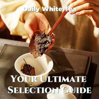 Daily White Tea: Your Ultimate Selection Guide