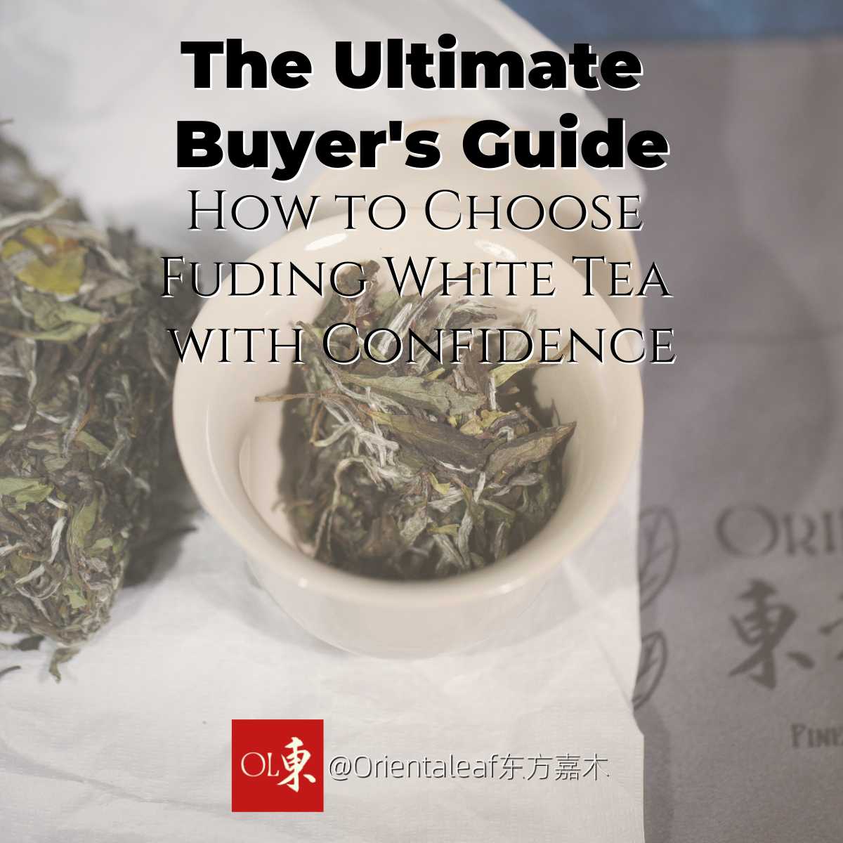 11 Expert Tips: How to Choose Fuding White Tea for Mind-Blowing Results ...