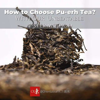 How to Choose Pu-erh Tea? With Our  Unbeatable 4-step method