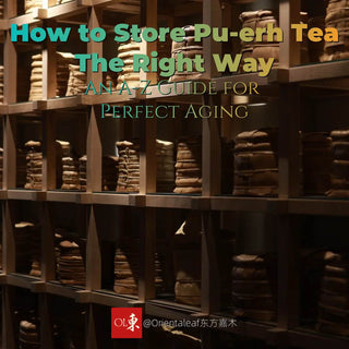 How to Store Pu-erh Tea The Right Way: An A-Z Guide for Perfect Aging