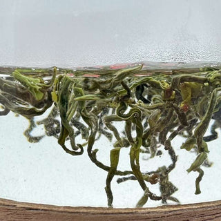 Fluffier green tea with hairs in a glass cup