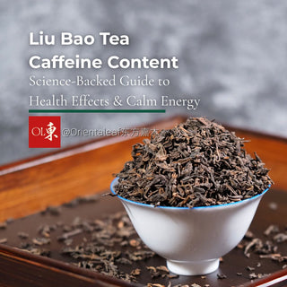 A bowl of loose Liu Bao dark tea leaves with text overlay reading Liu Bao Tea Caffeine Content and Science-Backed Guide to Health Effects and Calm Energy.