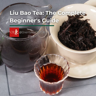 Liu Bao tea beginner's guide showing loose dark tea leaves in a gaiwan alongside a glass pitcher and cup of dark red tea liquor.