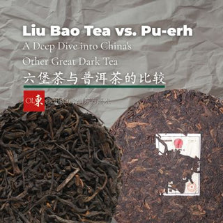 Comparison graphic showing a Liu Bao tea basket and a Pu-erh tea cake side-by-side with text 'Liu Bao Tea vs. Pu-erh: A Deep Dive into China's Other Great Dark Tea'