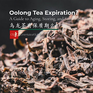 Oolong Tea Doesn't Just Expire, It Evolves: A Guide to Aging, Storing, and Savoring