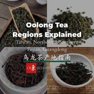 A four-panel image showcasing dry Oolong tea leaves from Taiwan (High Mountain Oolong), Southern Fujian (Tie Guan Yin), Northern Fujian (Da Hong Pao Yan Cha), and Guangdong (Phoenix Dan Cong). The title reads "Oolong Tea Regions Explained."