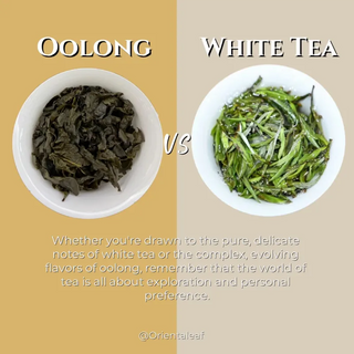 Oolong vs White Tea: A Comprehensive Comparison of Two Exquisite Brews