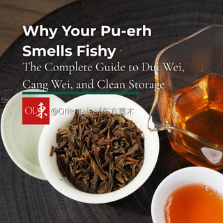 An image featuring the text title "Why Your Pu-erh Smells Fishy: The Complete Guide to Dui Wei, Cang Wei, and Clean Storage."