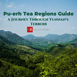 The Definitive Guide to Pu-erh Tea Regions