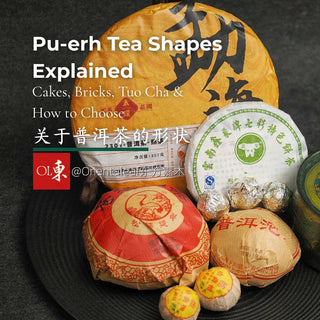 Different Pu-erh tea shapes including cakes, bricks, and Tuo Cha by Orientaleaf.