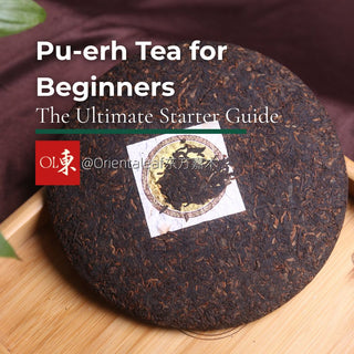 A compressed round Pu-erh tea cake on a wooden tray with a beginner's guide text overlay
