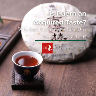 A cup of dark brewed Puerh tea next to a traditional compressed Puerh tea cake, with text overlay reading "Is Puerh an Acquired Taste?"