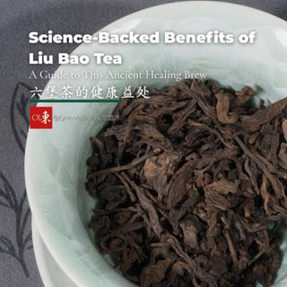 Science-Backed Benefits of Liu Bao Tea
