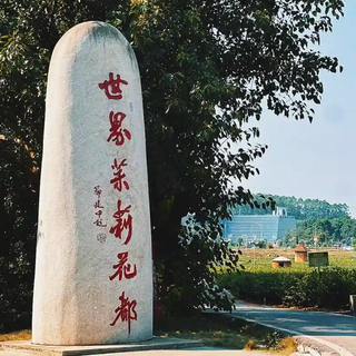 The stone tablet in Hengxian bears the inscription 'The Jasmine Flower Capital of the World.'