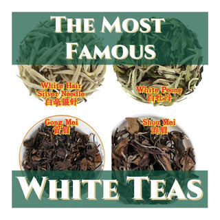 The Most Famous White Teas in China