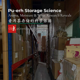 Naturally dry-stored pu-erh tea cakes in original factory cartons, Xi'an storage facility