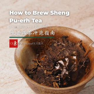 The Ultimate Guide to Brewing Sheng Pu-erh Tea: From Bitter to Blissful
