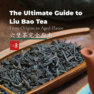 The Ultimate Guide to Liu Bao Tea: From Ancient History to Modern Mastery