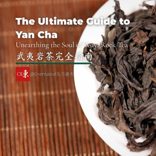 The Ultimate Guide to Yan Cha: Unearthing the Soul of Wuyi Rock Tea