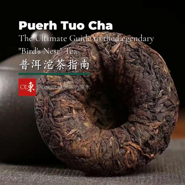Puerh Tuo Cha Guide: History, Taste, Brewing, and Health Benefits ...