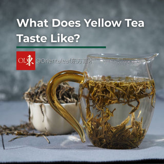 Glass pitcher filled with brewed yellow tea and loose tea leaves in the background, illustrating what yellow tea looks and tastes like